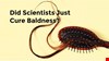 Did Scientists Just Cure Baldness?